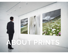 About Prints